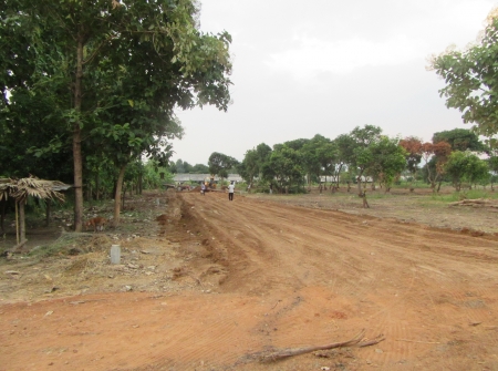 9) Investement Plots for Sale With Mango Trees Near Tirupati.JPG